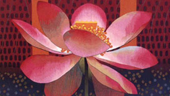 org-consulting-lotus